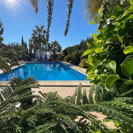 Villa Vacaciones La Marina Costa Blanca Esterno foto